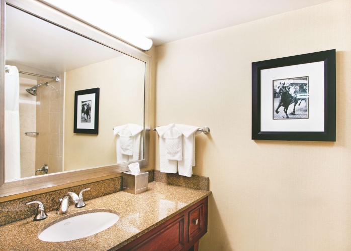 DoubleTree by Hilton Hotel Baltimore North - Pikesville photo 11