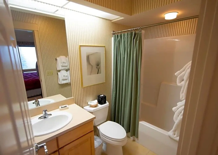 1 Bedroom Suite