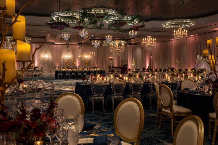 The Ritz Carlton Sarasota photo 30