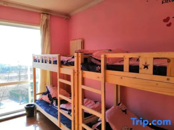 Bed in Dorm (male dorm)