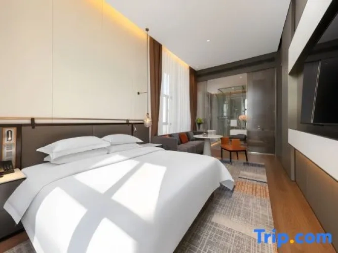 Deluxe Suite with city view
