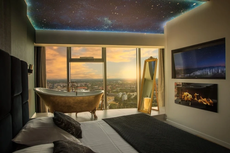 Deluxe Apartment with city view