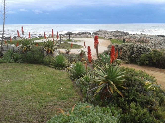 Standard Double room with balcony and with sea view