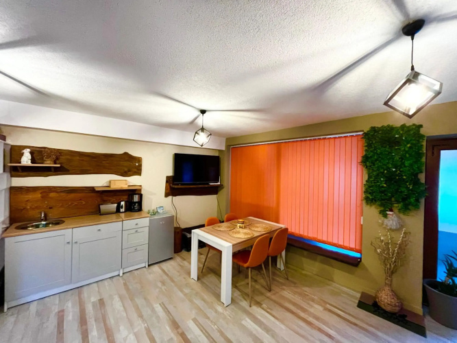 Roots Apartment 2