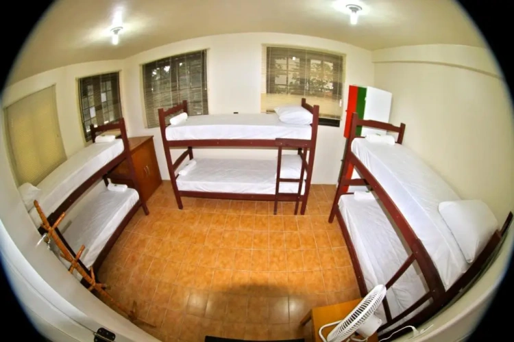 Bed in Dorm