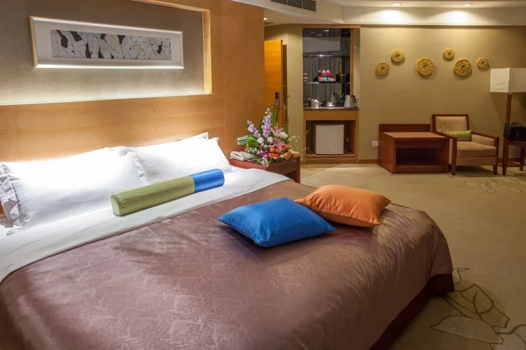 Luxury Single room