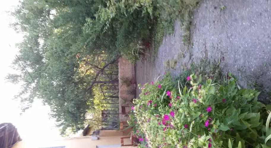 Guest House City Shkodra