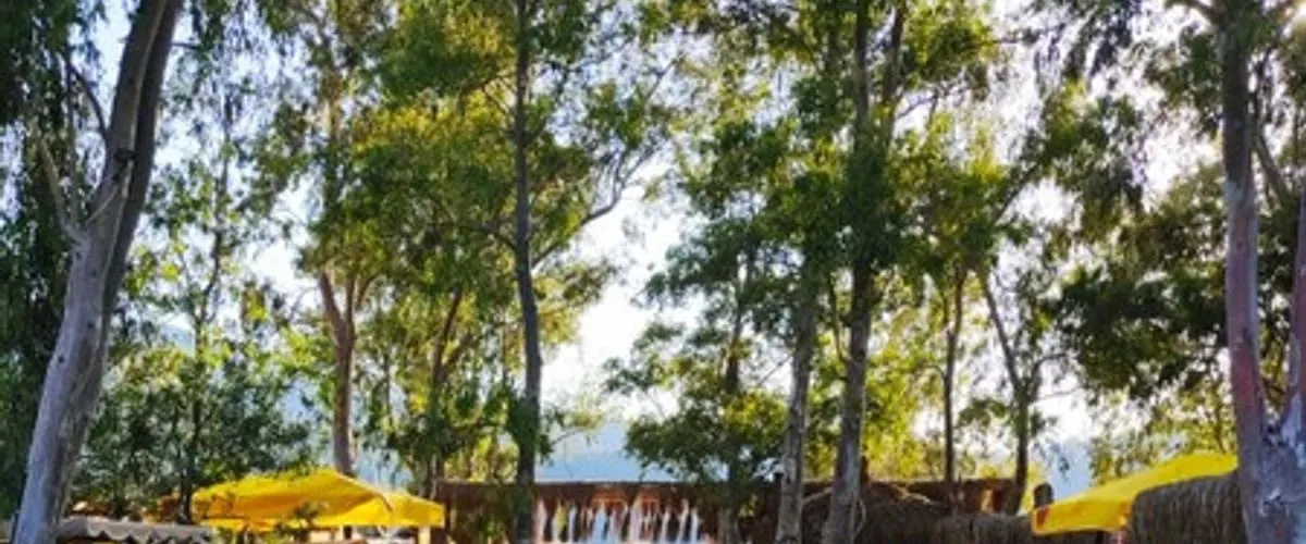 Albatros Beach Restaurant & Butik Otel