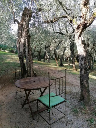 Casina Versilia