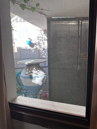 Economy Single room with courtyard view