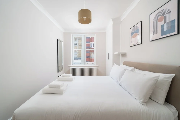 Luxury Apartment