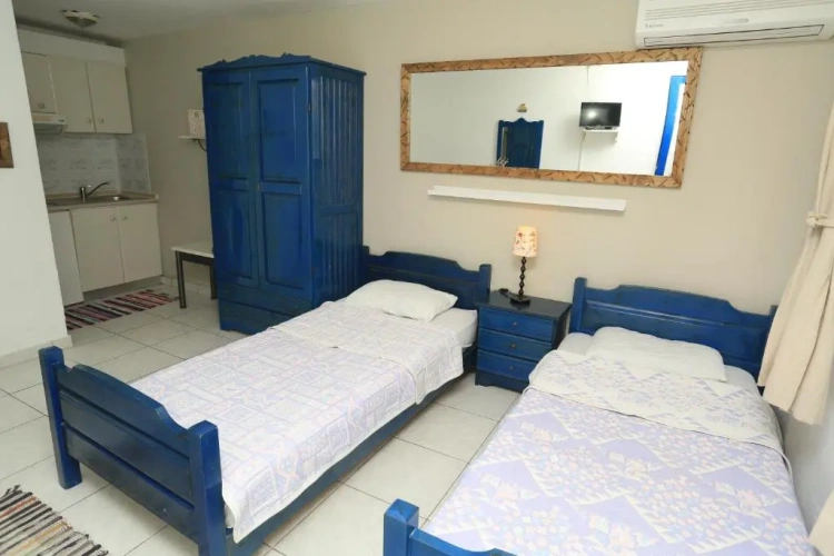 Economy Double Studio with garden view