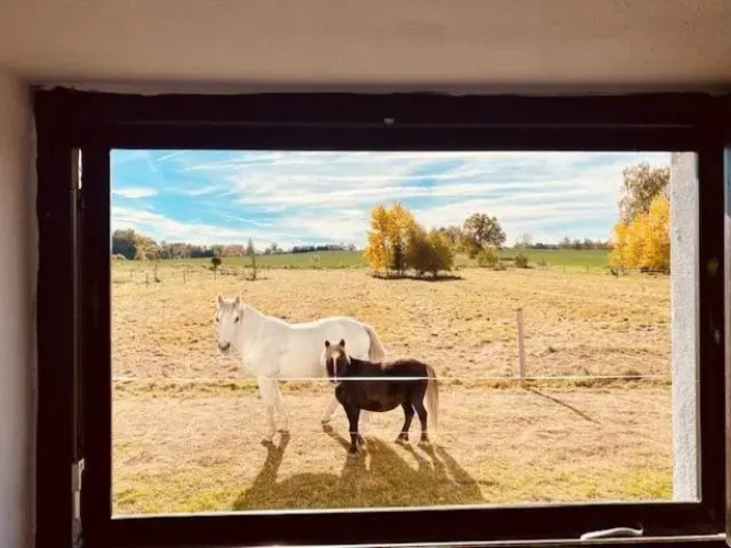Peškův mlýn