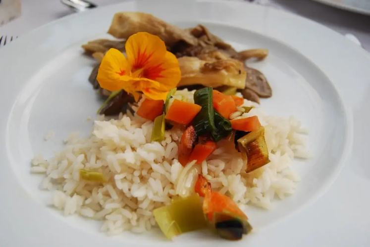 Bio Landhotel Anna