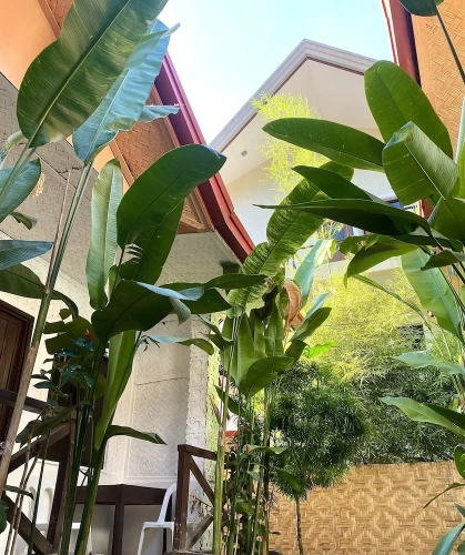 Economy Double room with garden view