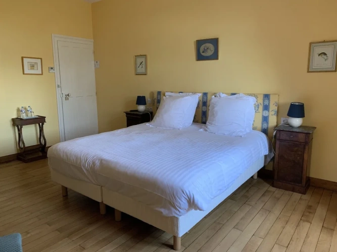 Deluxe Double room with park view