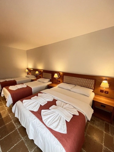 Standard Quadruple room with pool view