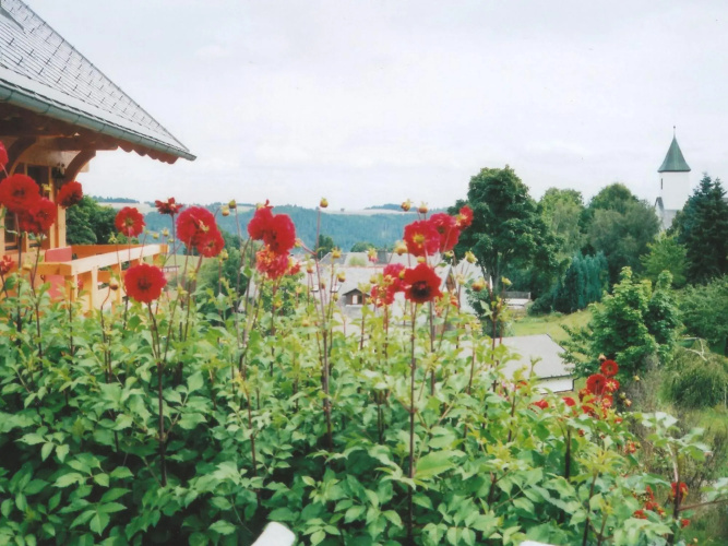 Malerische Erdgeschosswohnung