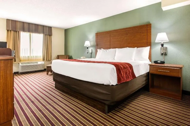 Standard Double room