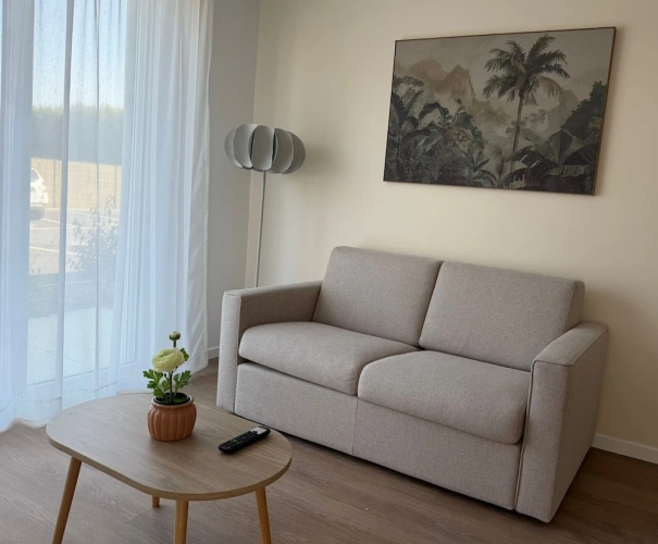 1 Bedroom Deluxe Apartment with balcony
