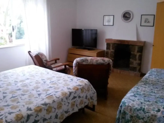 Basement Apartment