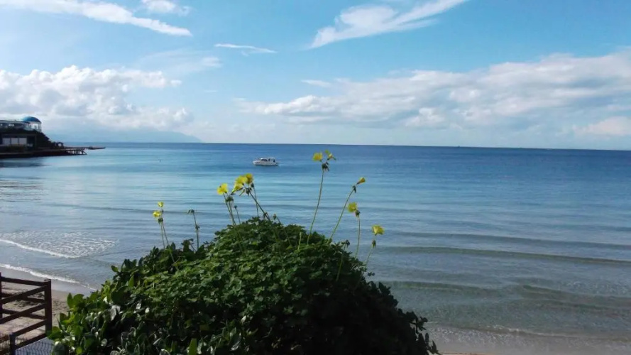 Adasea Hotel