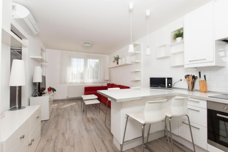 1 Bedroom Apartment