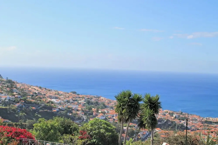 Quinta D'Alegria by Our Madeira