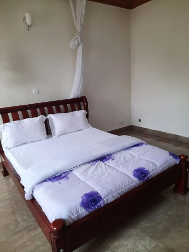 Standard Double room with balcony and with garden view