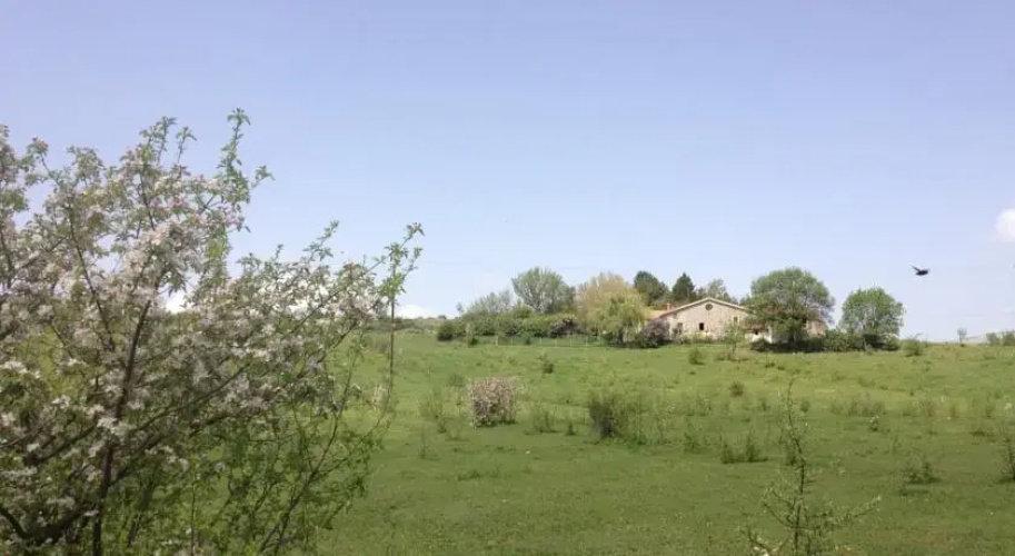 Les Gîtes d'Eliane