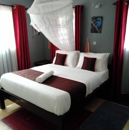 Standard Single room with garden view