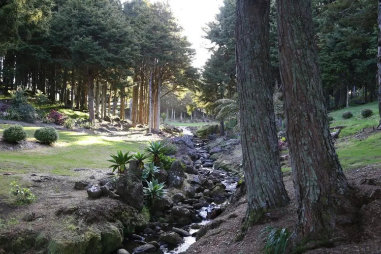 Totara House