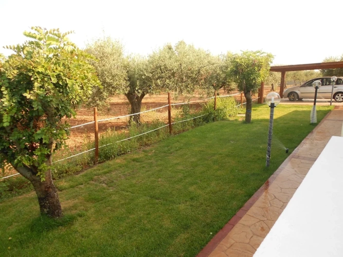 2 Bedrooms Family Apartment