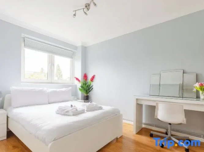 Comfort Apartment