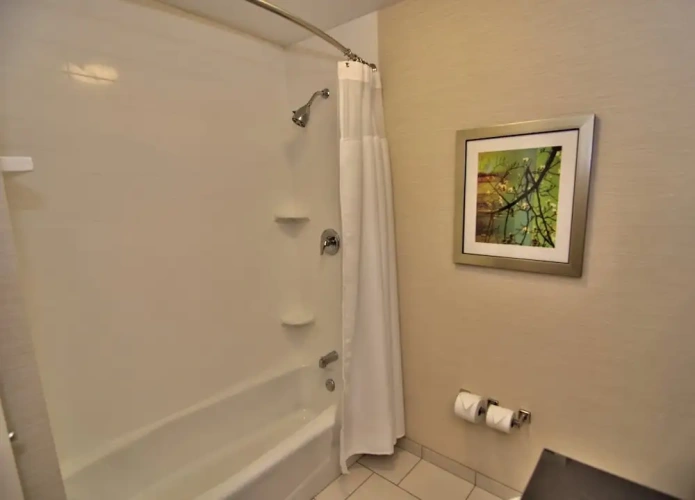 1 Bedroom Suite
