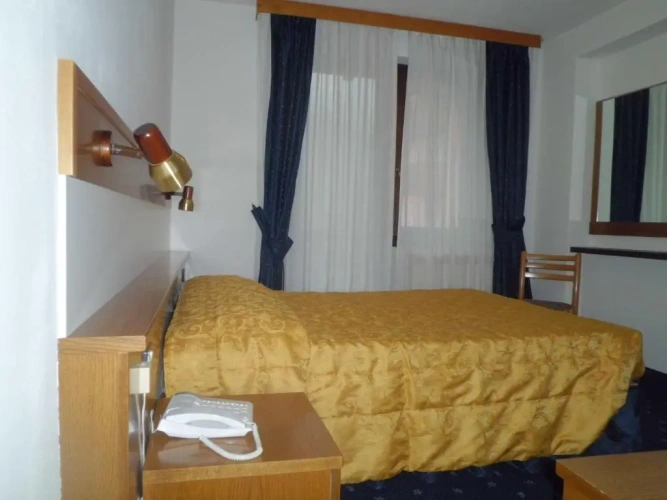 Standard Double room with balcony and with view