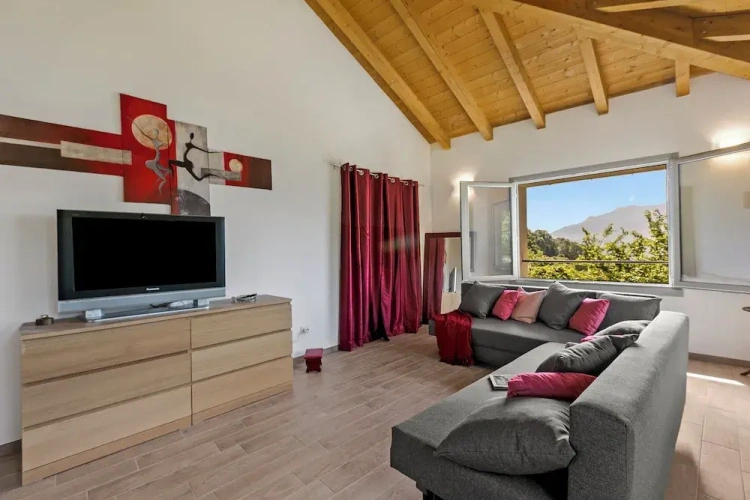 1 Bedroom Standard Apartment
