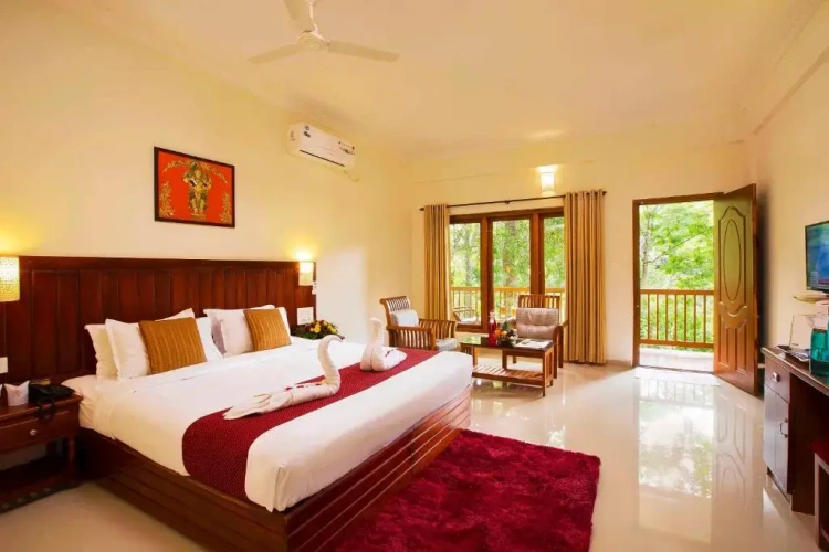 Premium Double room
