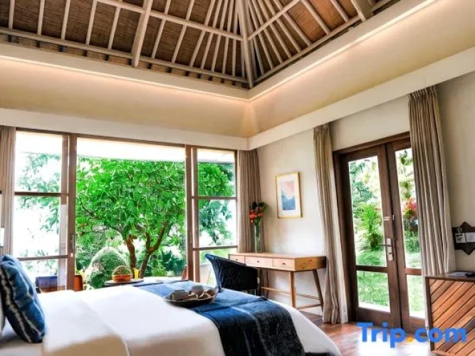 Junior Suite with garden view