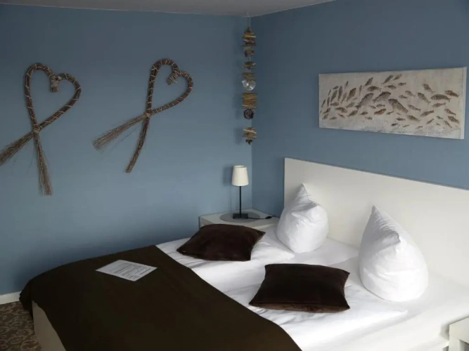 Standard Double room with balcony and with river view