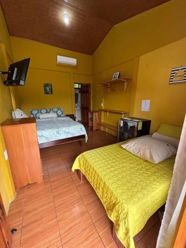 Standard Family room with garden view