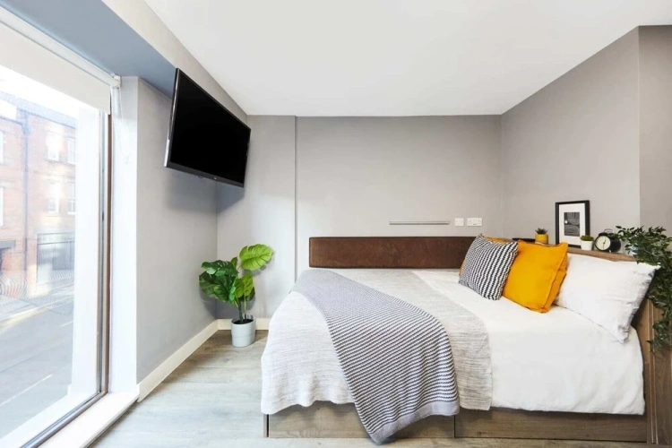 Standard Single room