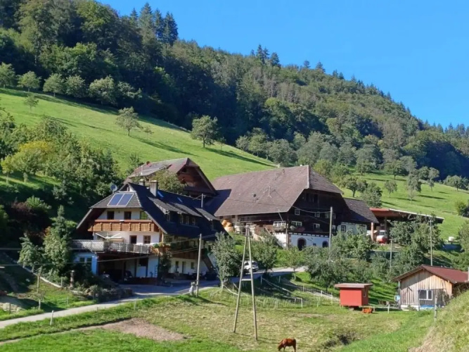 Eisenmann Holiday Farm