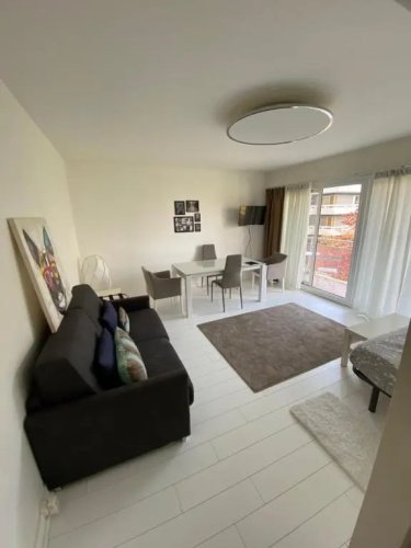 High class Apartment Paris 15