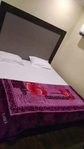 Standard Single room with garden view