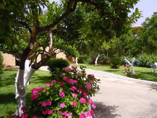 Casa MaLu Boutique Apartments - No 2