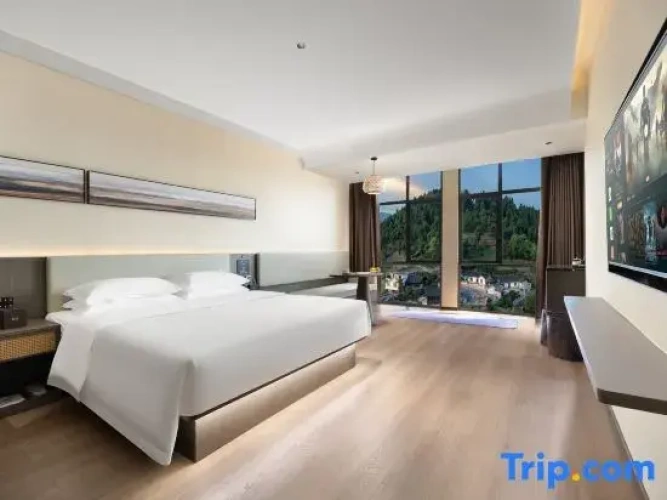 Standard Double room with city view