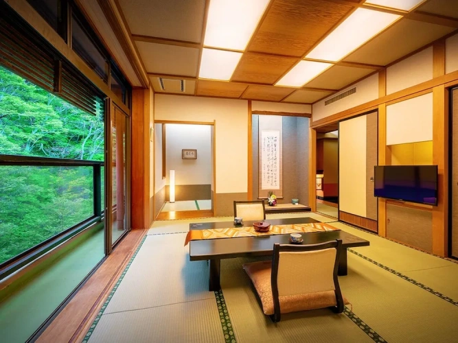 Standard room with view