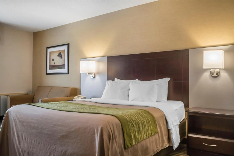 Comfort Inn Chatham photo 7