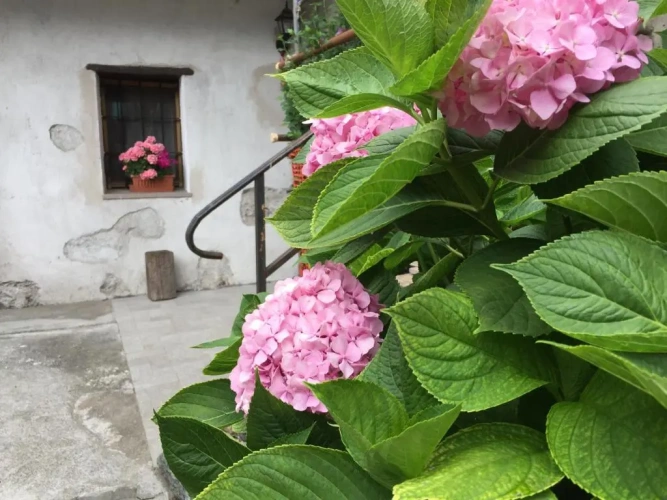 1 Bedroom Cottage